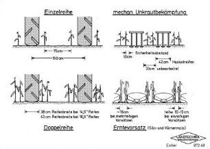 Mechanische Unkrautbekämpfung Einzelreihe - Doppelreihe