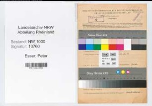 Entnazifizierung Peter Esser, geb. 31.03.1895 (Telegrafensekretaer)