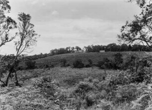 Landwirtschaftliche Anbaufläche : Vermutlich von den Europäern angelegte Anbauflächen in hügeliger Landschaft in Tansania