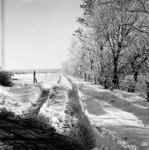 Straßen: Feldweg mit Treckerspuren im Schnee: rechts Bäume: links eingezäunte Weide: hinten Wald: Winter