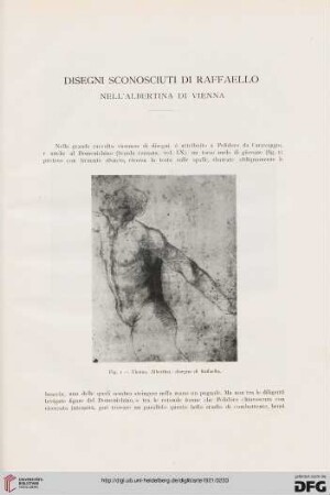 24: Disegni sconosciuti di Raffaello nell'Albertina di Vienna