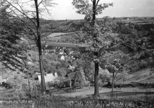 Königstein (Sächsische Schweiz). Ortsansicht über eine Streuobstwiese