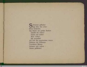Schwarzes geflacker ...