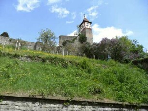 Stadtbefestigung (Burgviertel)-untere Stadtmauer am Osttor mit nach Norden aufsteigender Stadtmauer (Wehrgang abgetragen) sowie Wachtürmchen von Südwesten in Übersicht