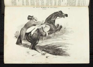 Les Petits Bonheurs de l'équitation