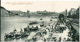 Budapest. Panorama Donaubild mit Elisabethbrücke und Königlicher Burg