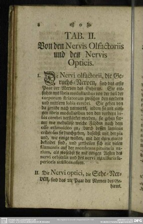 Tab. II. Von den Nervis Olfactoriis und den Nervis Opticis