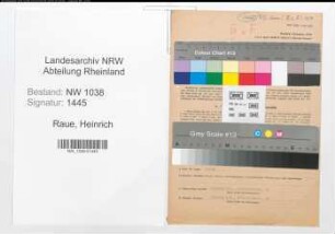 Entnazifizierung Heinrich Raue , geb. 22.10.1895 (Kaufmann)