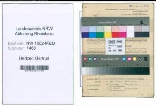 Entnazifizierung Gertrud Heitzer , geb. 10.06.1912 (Aerztin)