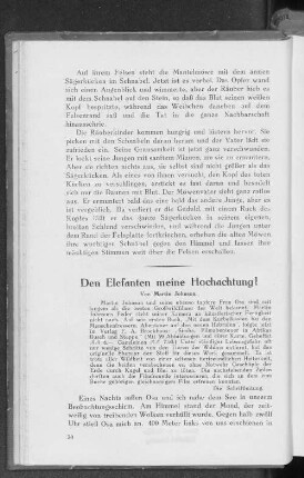 Den Elefanten meine Hochachtung!