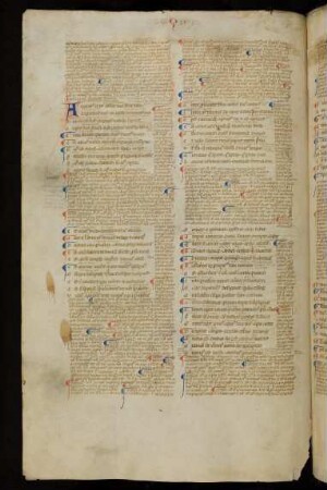 Liber aequivocorum (cum commento)
