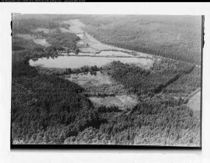 Siebengebirge, Staatsforst Teiche