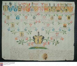 Ahnenprobe der Dorothea v. Münchhausen a. d. H. Oldendorf. - ausgefertigt 1744 Juni 29, Papier, vermählt gewesen mit v. Haren z. Hopen