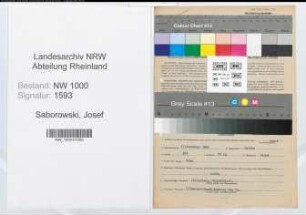 Entnazifizierung Josef Saborowski, geb. 17.11.1902 (Finanzpruefer)