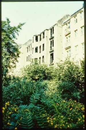 Ansicht der Wohnhäuser an der Wilhelmsaue