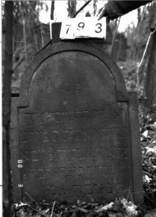 Grabstein 793