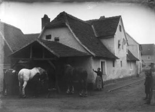 Dorfschmiede : Frohburg, Dorfschmiede. Hufschmiede bei der Arbeit