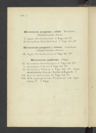 Tab. 2 Micrococcus pyogenes gamma albus. - Micrococcus pyogenes beta citreus. - Micrococcus candicans