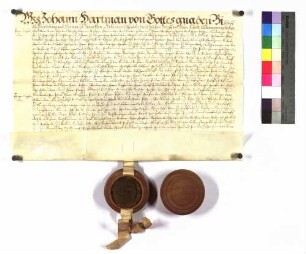 Bischof Johann Hartmann an alle Grafen Hohenlohe verleiht Haßfurt.