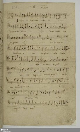 Groh, Johann: Laudate Dominum
