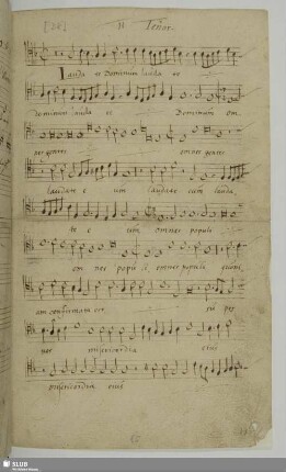 Groh, Johann: Laudate Dominum