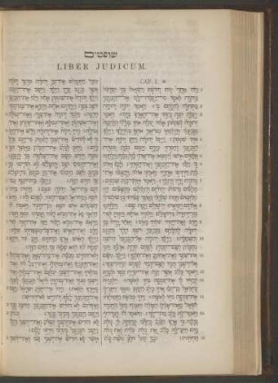 Liber Judicum