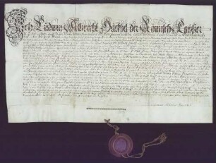 Diplom als kaiserlich gekrönte Poetin u. Dichterin für Sibylla Justina Tritschler, geb. Vischer