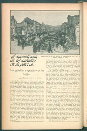 La importancia de los caballos en la guerra : Los caballos argentinos y los belgas
