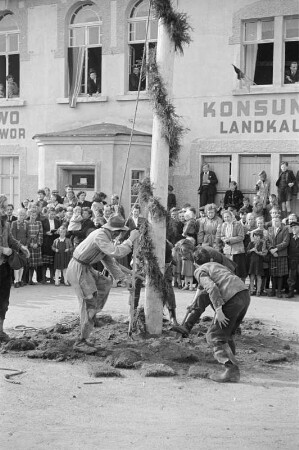 Maibaumwerfen in Radibor : Mejemjetanje w Radworju : Radibor / Radwor