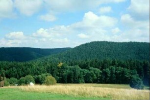 Blick auf den Wald vom Skilift aus