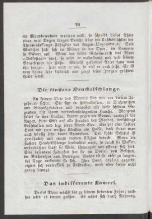 Das indifferente Kameel.