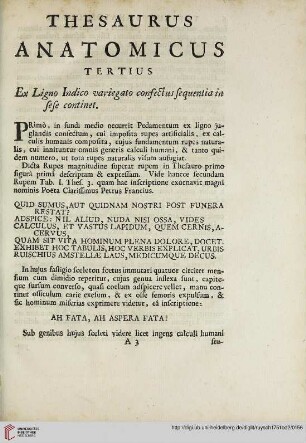 Thesaurus anatomicus tertius