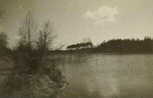 Königswartha. Caminauer Oberer Waldteich