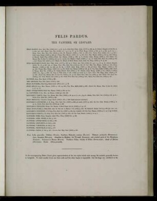 Felis Pardus