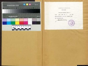 Jahrgang 1905 Nr. 1 - 399