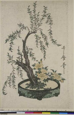 Bonsai in Schale mit Blumen