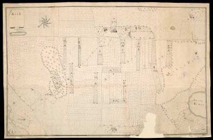Straß: Tannau, Stadt Tettnang, Bodenseekreis "Strass." [Gut A] "Flurkarte von Strass, 1749" (1)