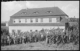 Meißen. Städtische Jugendherberge Ratsweinberg