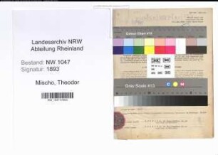 Entnazifizierung Theodor Mischo , geb. 05.06.1895 (Beamter)