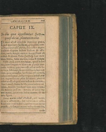 Caput IX. De illis quae appellantur ... quasi dicas, plantanimalia.