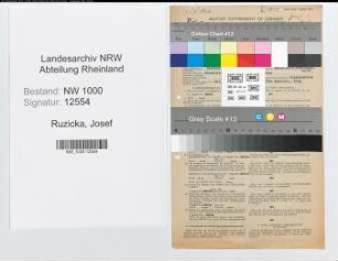 Entnazifizierung Josef Ruzicka, geb. 13.05.1898 (Versicherungsdirektor)