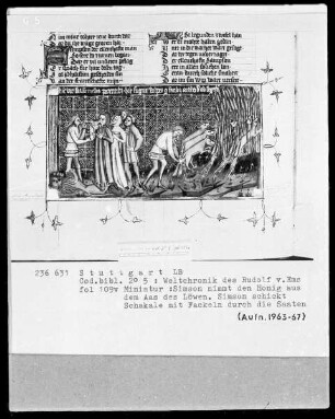 Weltchronik des Rudolf von Ems — Simson gibt seinen Eltern von dem Honig und Simson jagt die Füchse in die Kornfelder, Folio 109verso