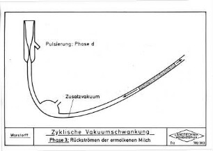 Zyklische Vakuumschwankung, Phase 3: Rückströmen der ermolkenen Milch