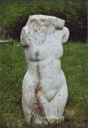Weiblicher Torso