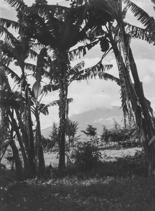 Mount Meru : Blick auf den Vulkan Mount Meru