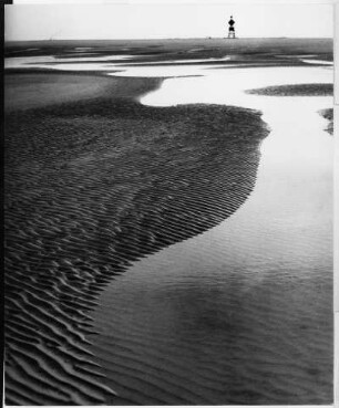 Insel Scharhörn, Norddeutsche Küste