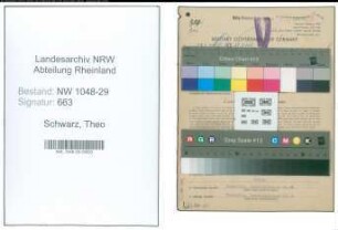 Entnazifizierung Theo Schwarz , geb. 05.08.1893 (Beamter)