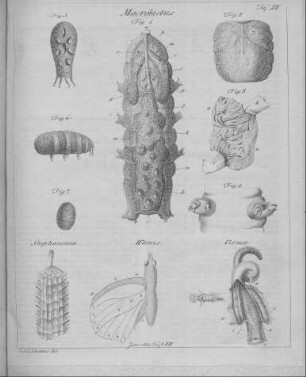 Tafel XIV
