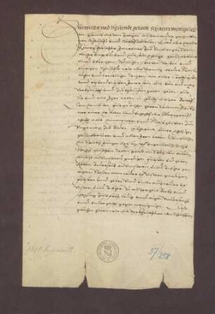 Verkaufsbrief des Georg Pfeiffer zu Umweg an Salomo Pleickner, der Landschafts-Einnehmer, des Gerichts und Gasthalter zum Ungemach zu Baden-Baden über 8 Steckhaufen junge Reben im "Stich den Buben" um 330 fl. nebst Quittung vom 24. Juni 1609