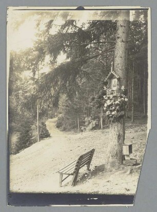 Pfad im Karwendelgebirge